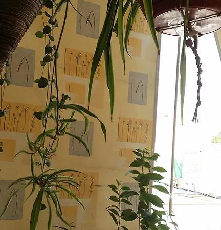 Sweet 公寓 塞萨洛尼基